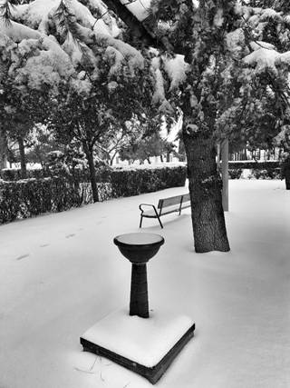 La imagen puede contener: árbol, planta, mesa, nieve y exterior